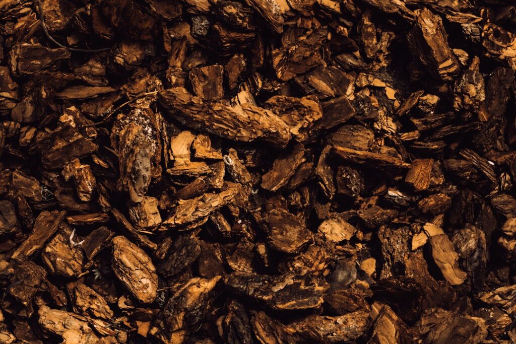 Cacaodoppen tegen onkruid: zo werkt het en waar je op moet letten